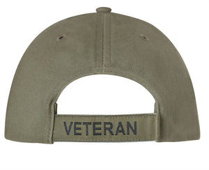 Navy Veteran Hat